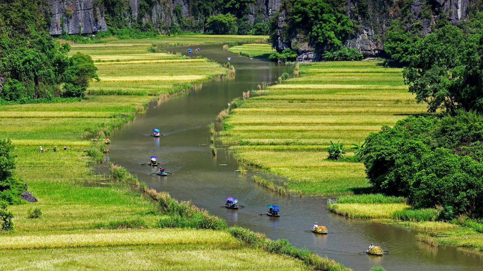 Vietnam – Bing Wallpaper Download