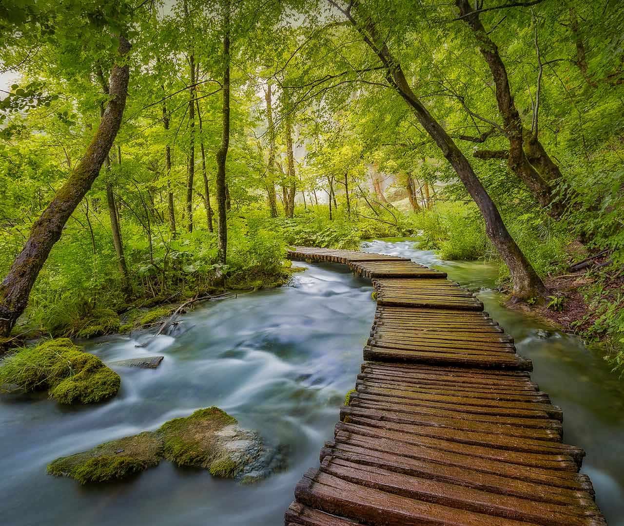 Plitvice Boardwalk – Bing Wallpaper Download