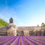 Senanque Abbey