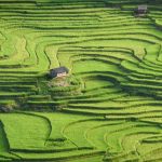 Yen Bai Terraces