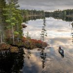 Katahdin Woods