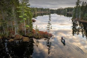 Katahdin Woods