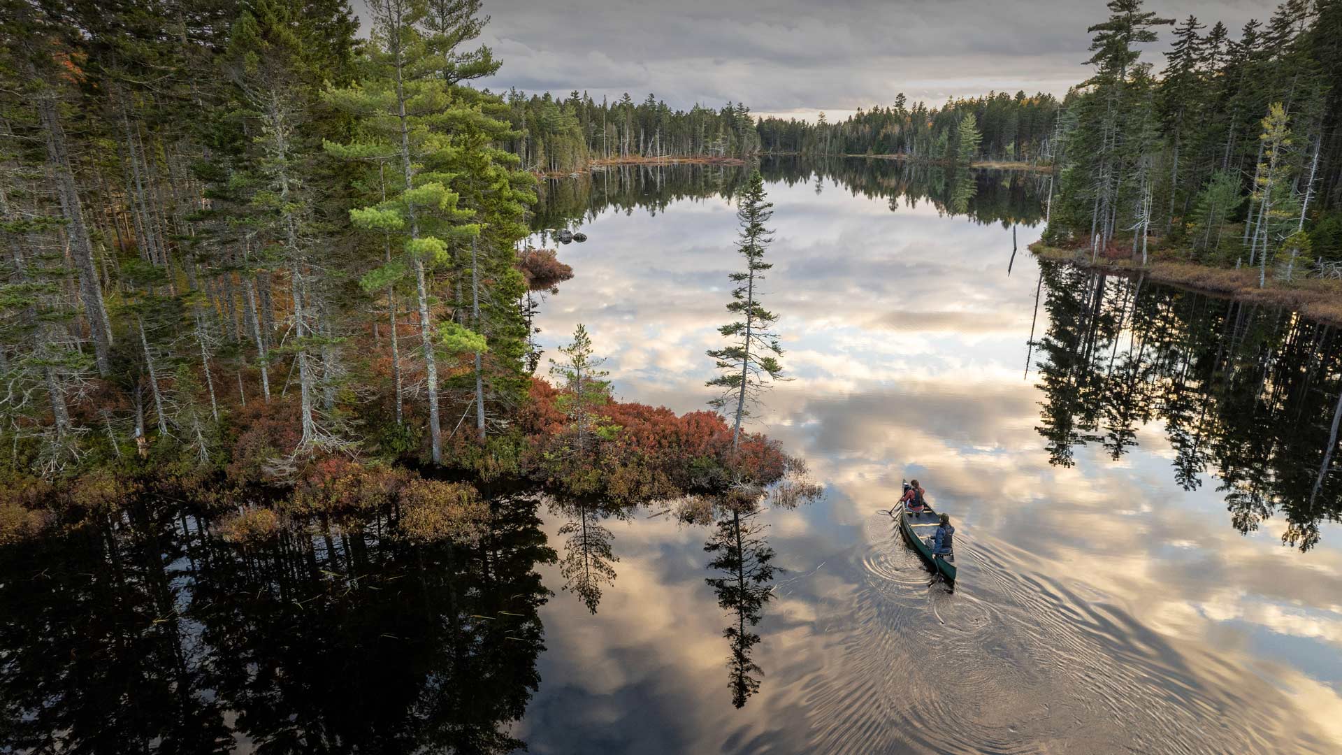 Katahdin Woods