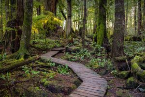 Tofino Vancouver