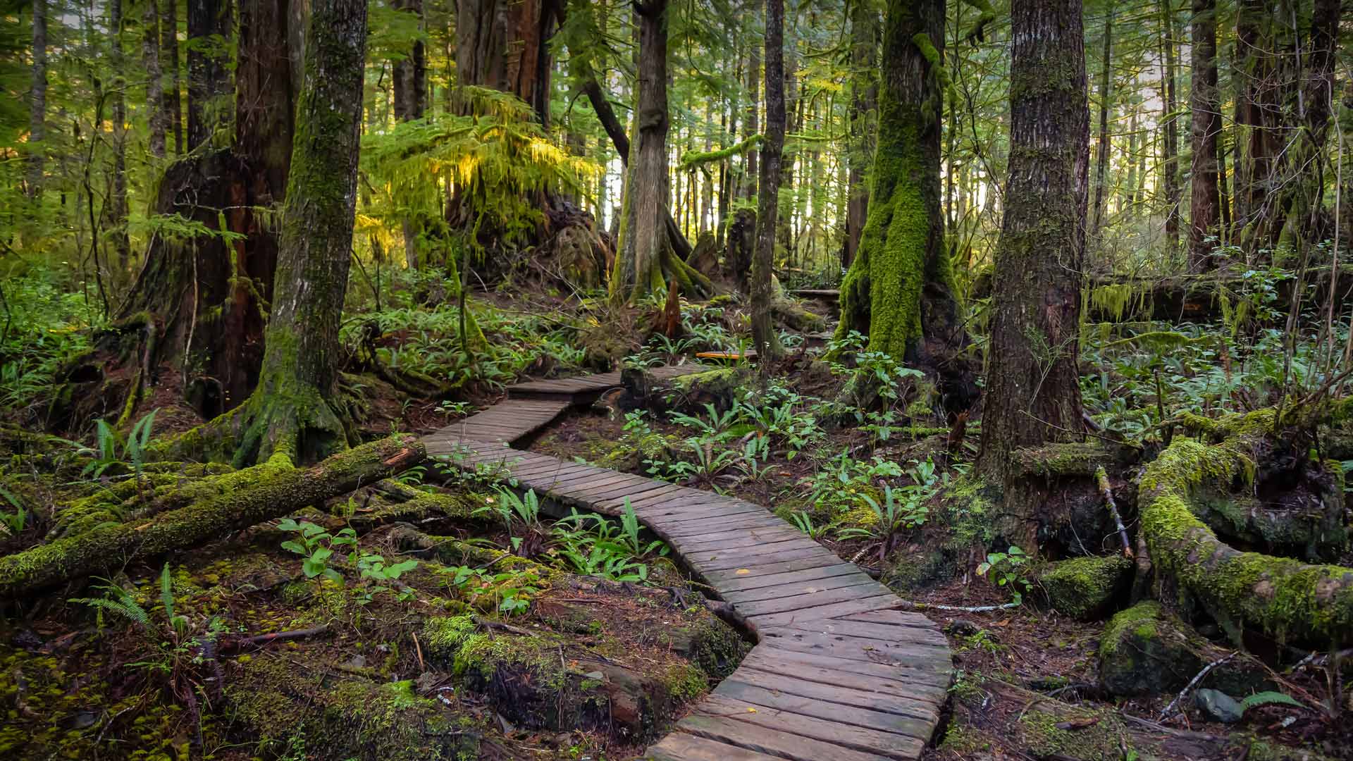 Tofino Vancouver