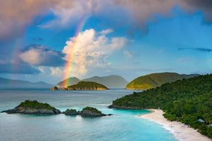 Trunk Bay