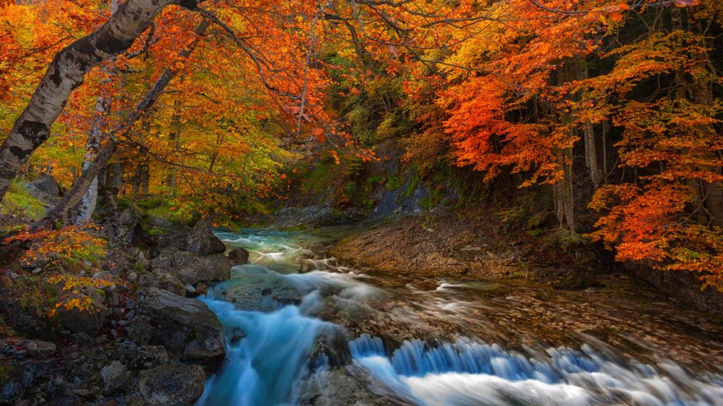 Aragon Autumn Landscape