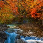 Aragon Autumn Landscape