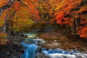 Aragon Autumn Landscape