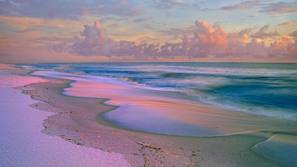 Florida Seashore