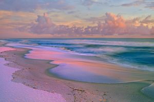 Florida Seashore