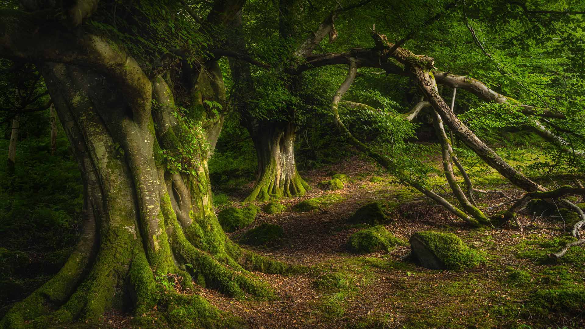 Glenariff Park