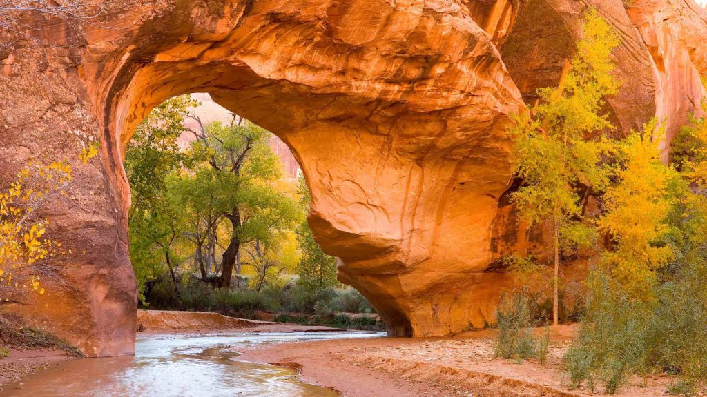 Coyote Gulch