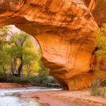 Coyote Gulch