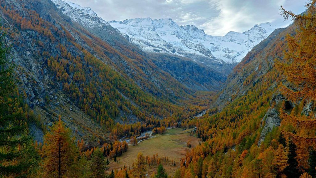 Valle Aosta Gran Paradiso