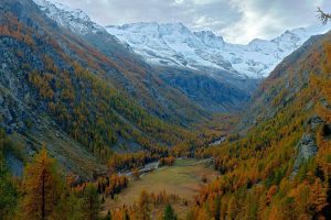 Valle Aosta Gran Paradiso