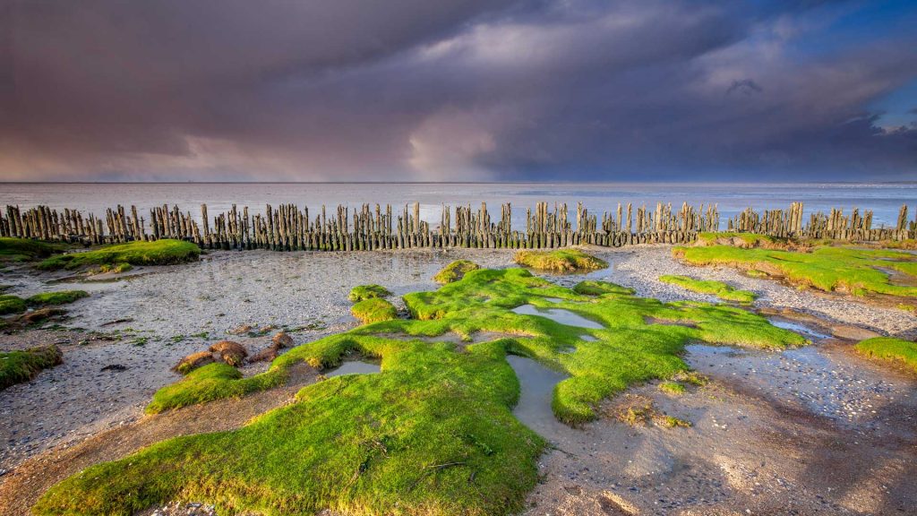 Friesland Netherlands