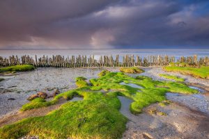 Friesland Netherlands