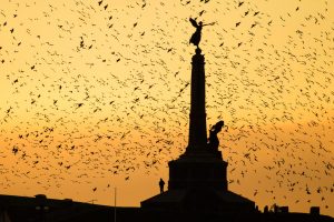 Remembrance Sunday 2024