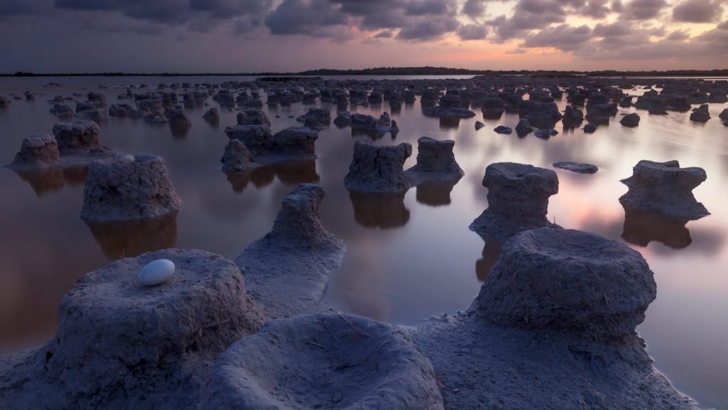 Yucatan Biosphere