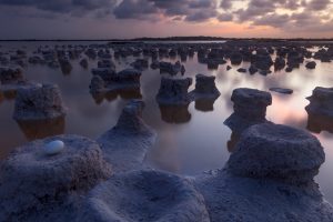 Yucatan Biosphere