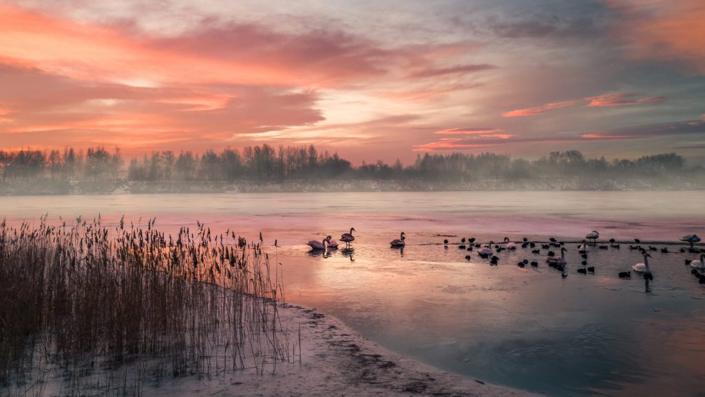 Frozen Lakeby Wintry Sunrise