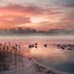 Frozen Lakeby Wintry Sunrise