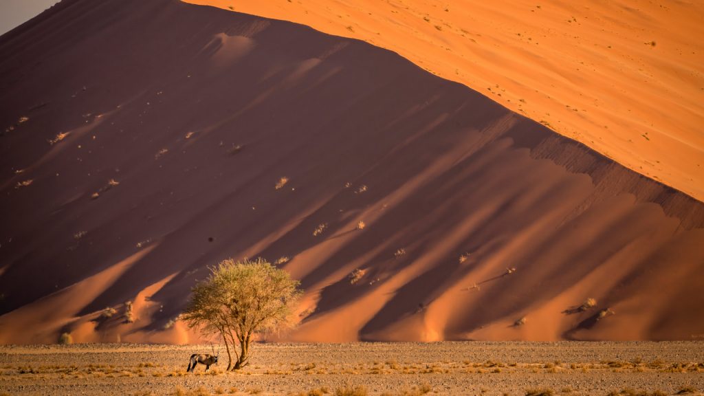 Namibia Dunes