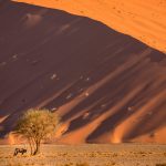 Namibia Dunes