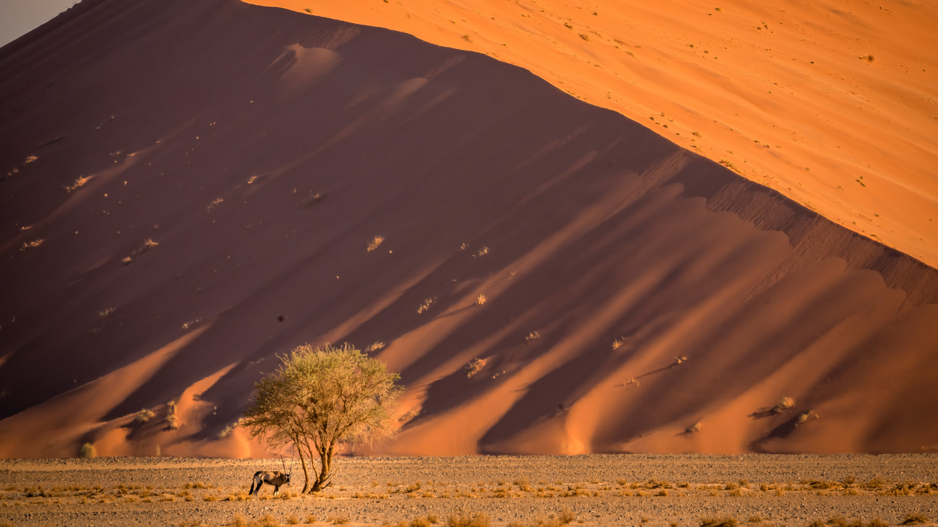 Namibia Dunes