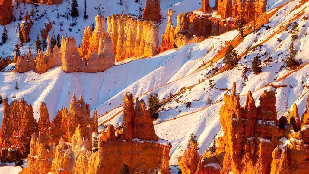 Bryce Hoodoos