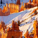 Bryce Hoodoos