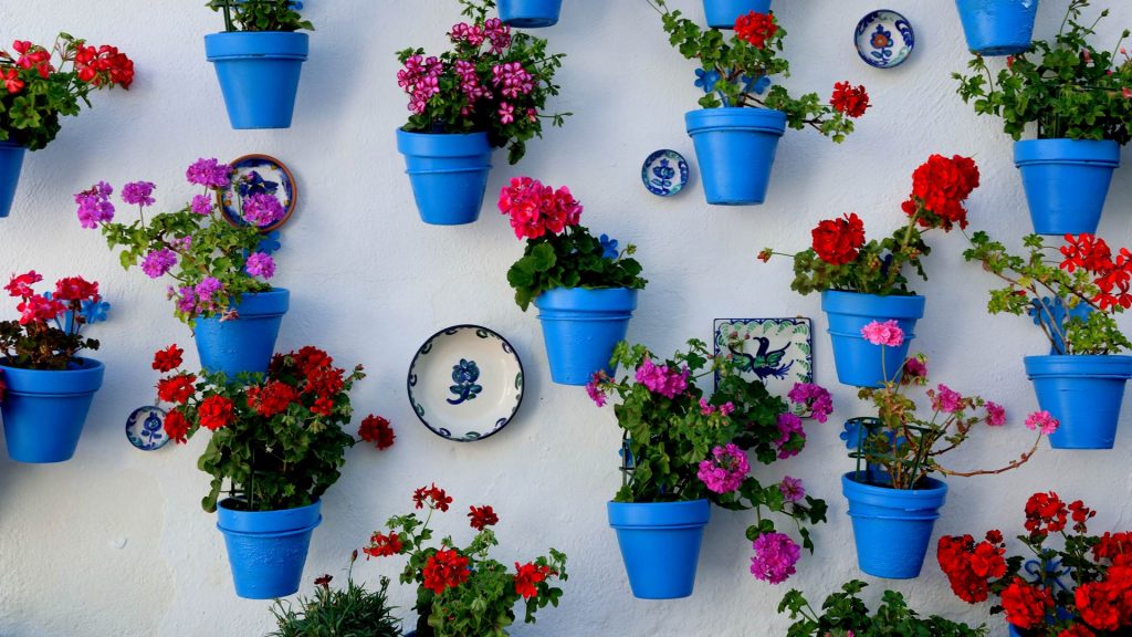 Andalusian Street